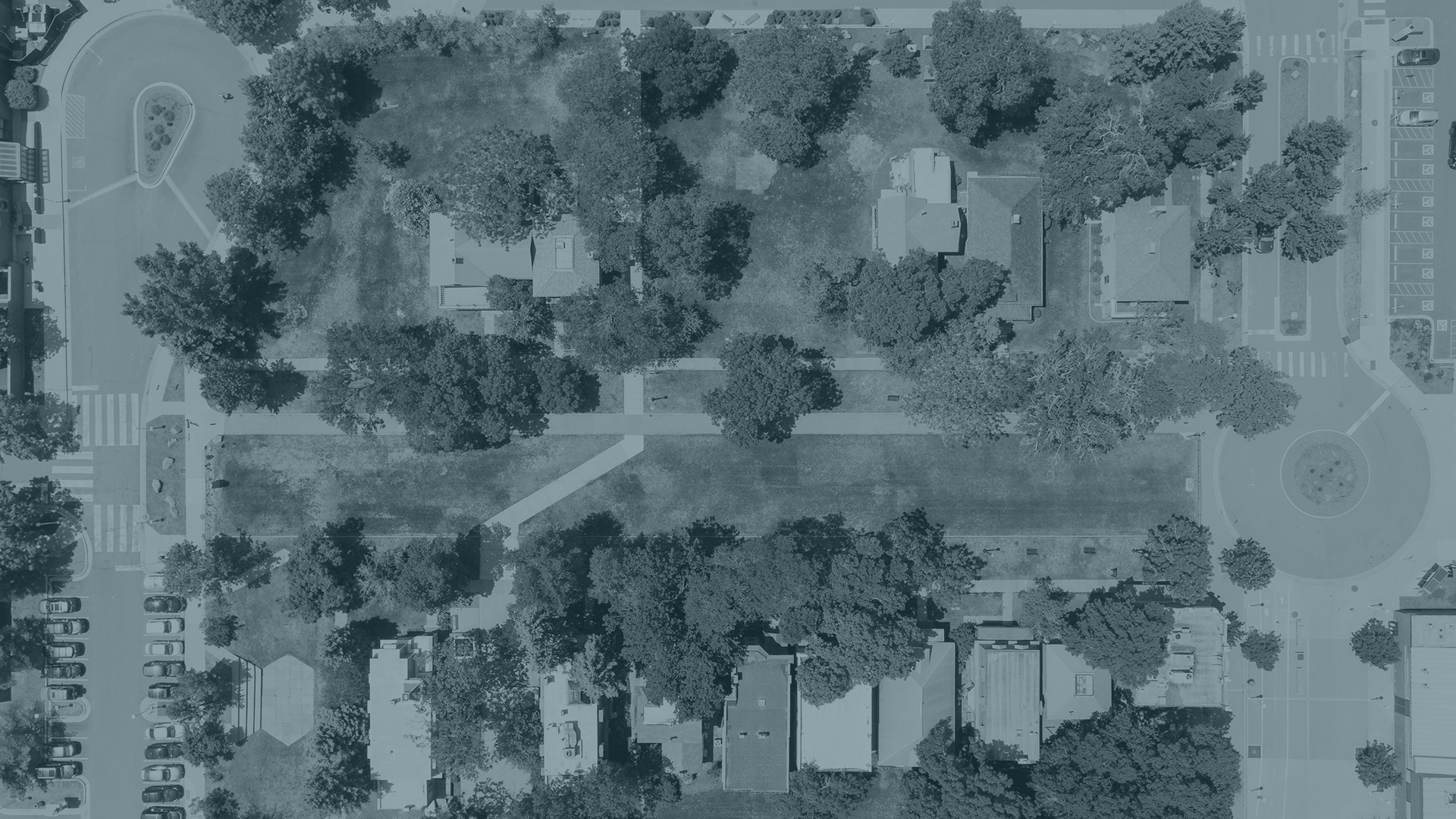Aerial view of the tree canopy on the Auraria Campus with a slate overlay.