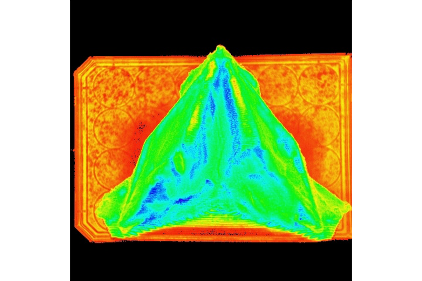 Pulse-Amplitude-Modulation (PAM) fluorometry to assess algae health.