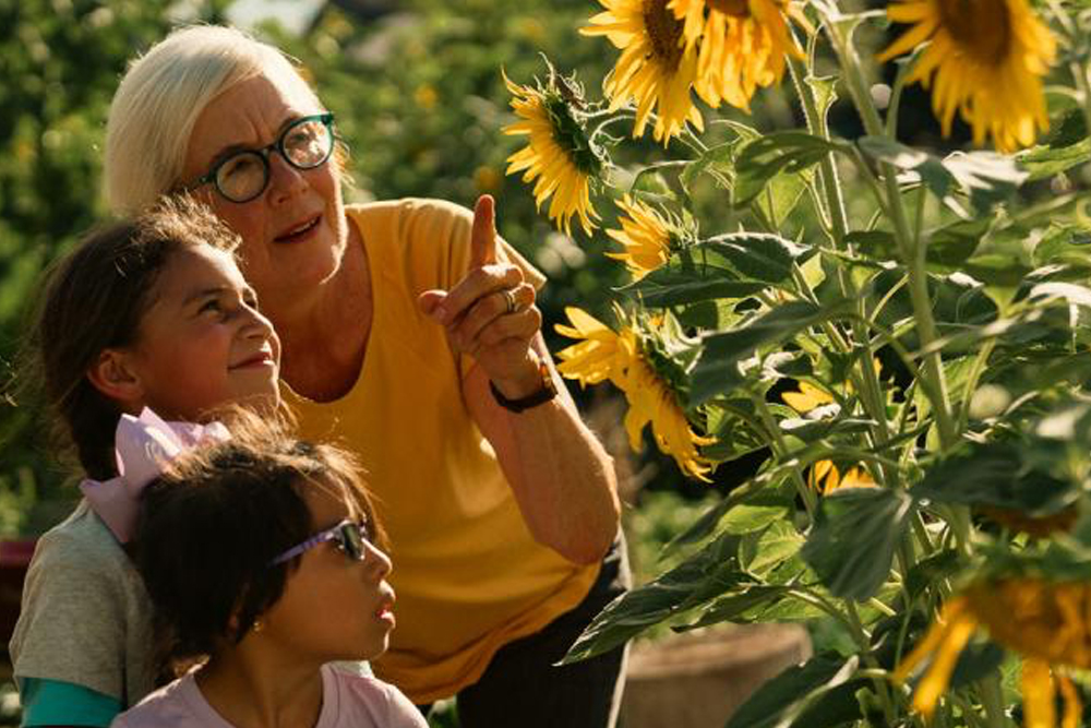 Lois Brink standing with two children looking at sunflowers.