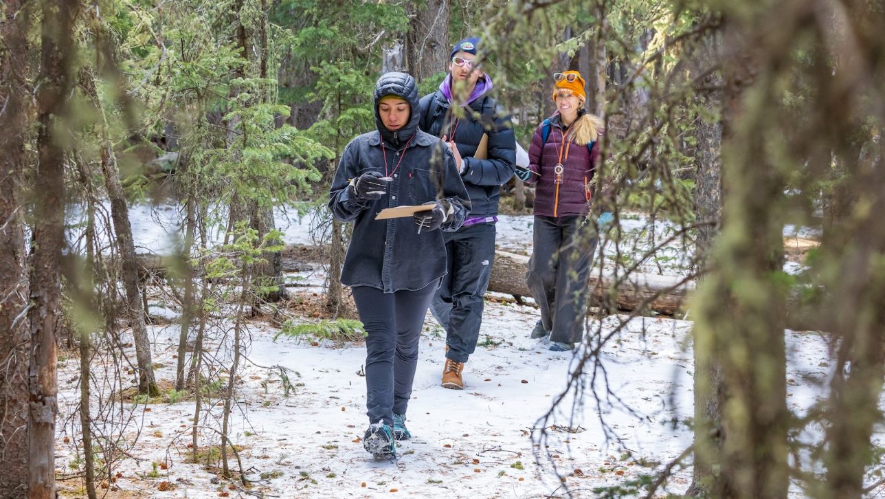 Landscape architecture students wear coats and hoods as they walk outside between trees on a snowy day.