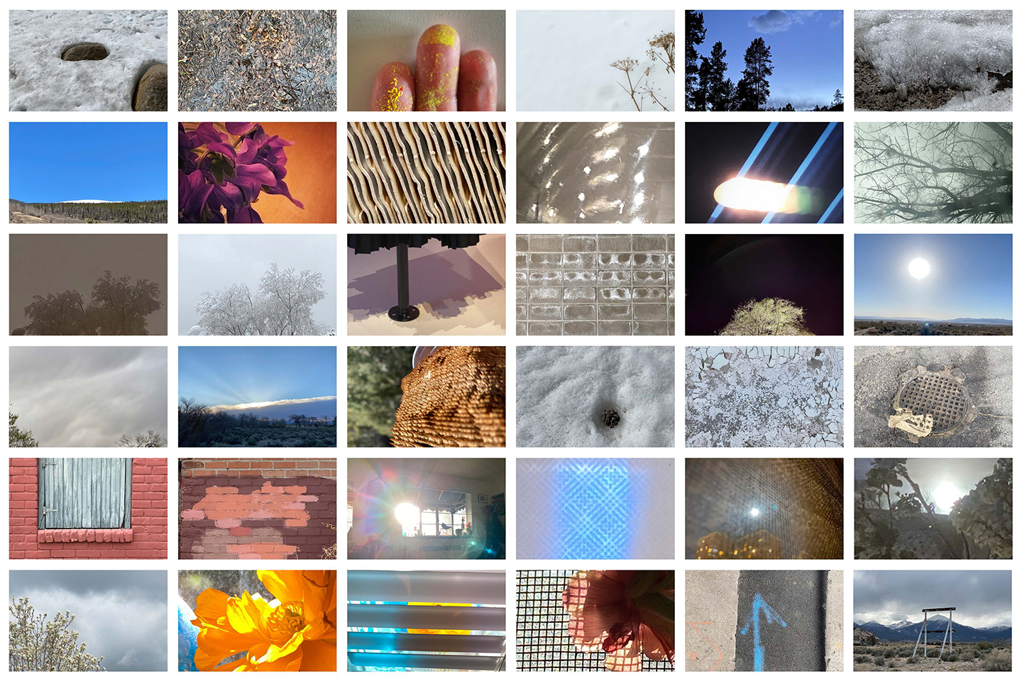 Collage of Daily Practice images from every day observations