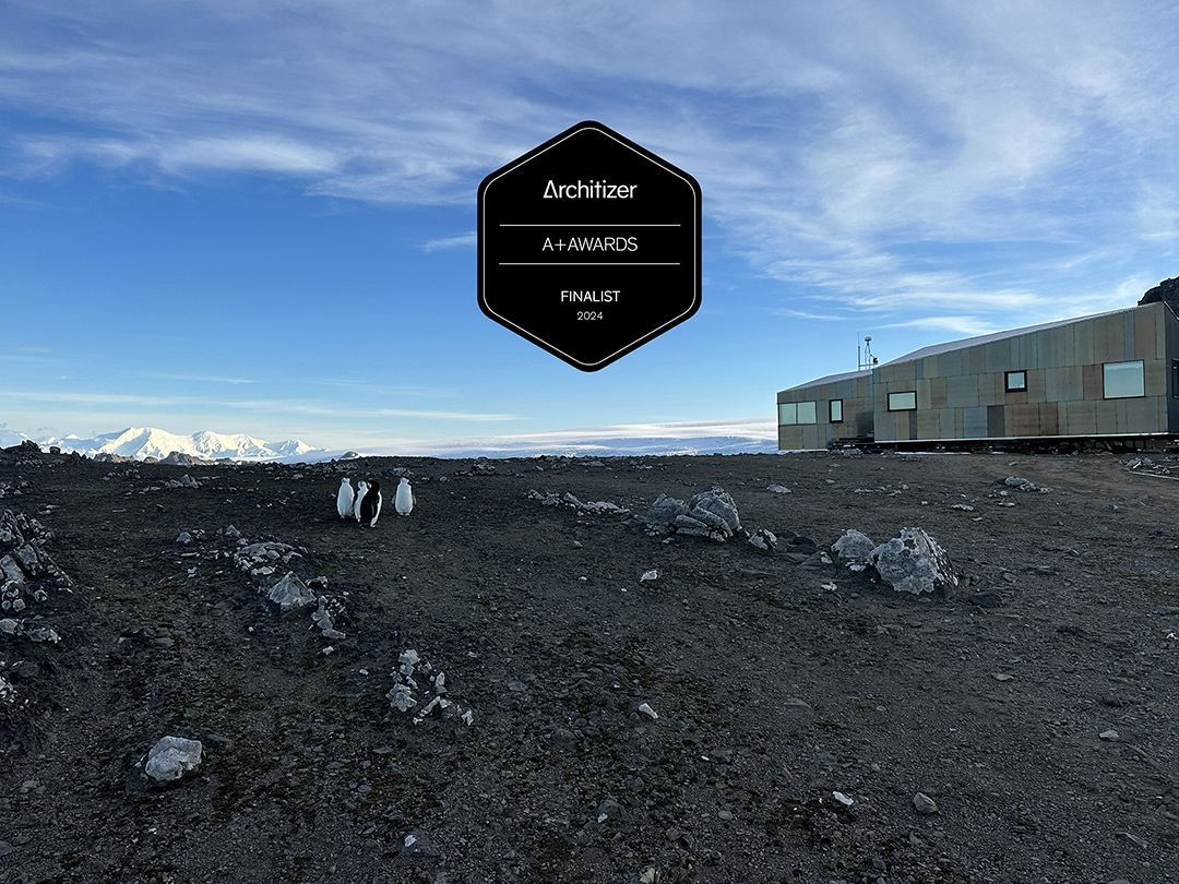 Penguins walking along the shore of Cape Shirreff in Antarctica beside the new Holt Watters Field Camp structures.