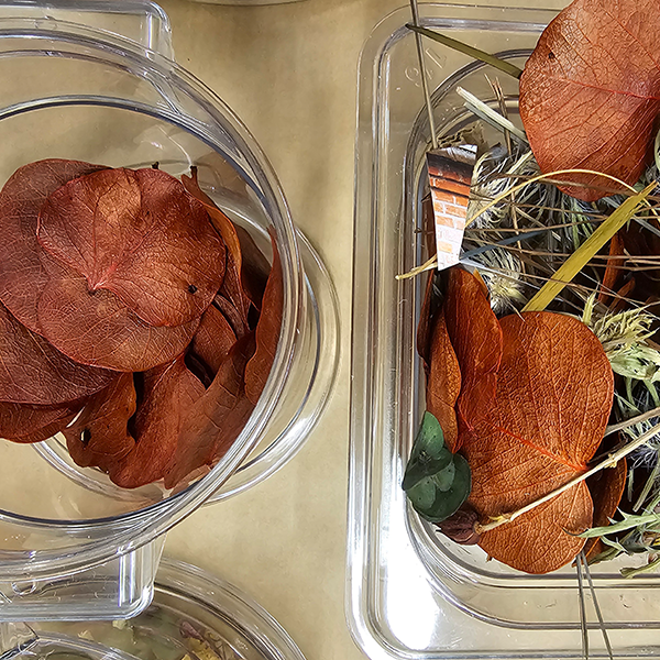 Containers with dried petals and flowers.