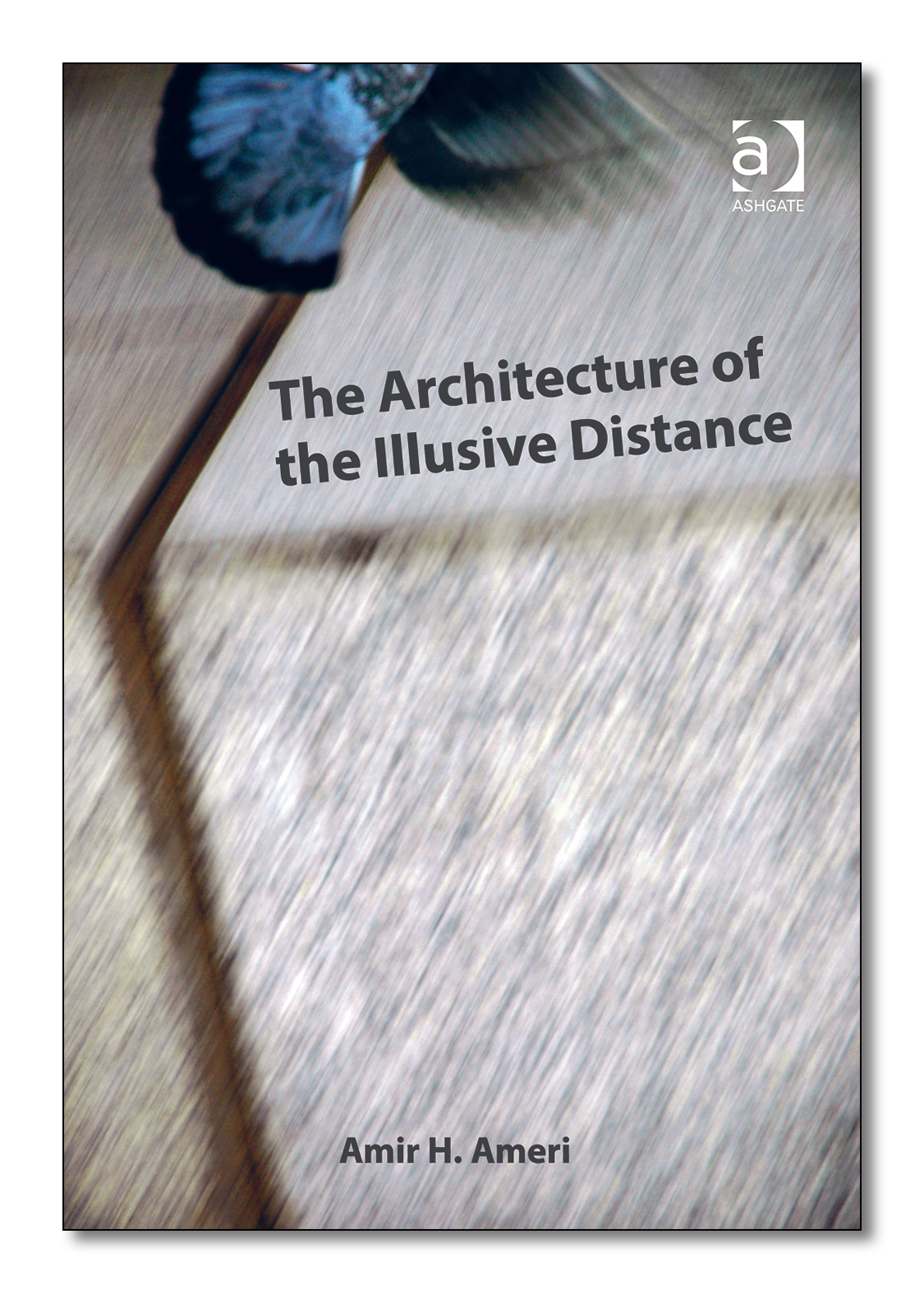 The Architecture of the Illusive Distance book cover