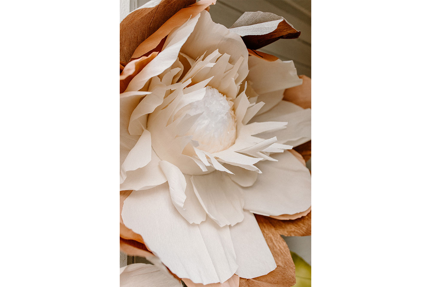 A large, white paper flower.