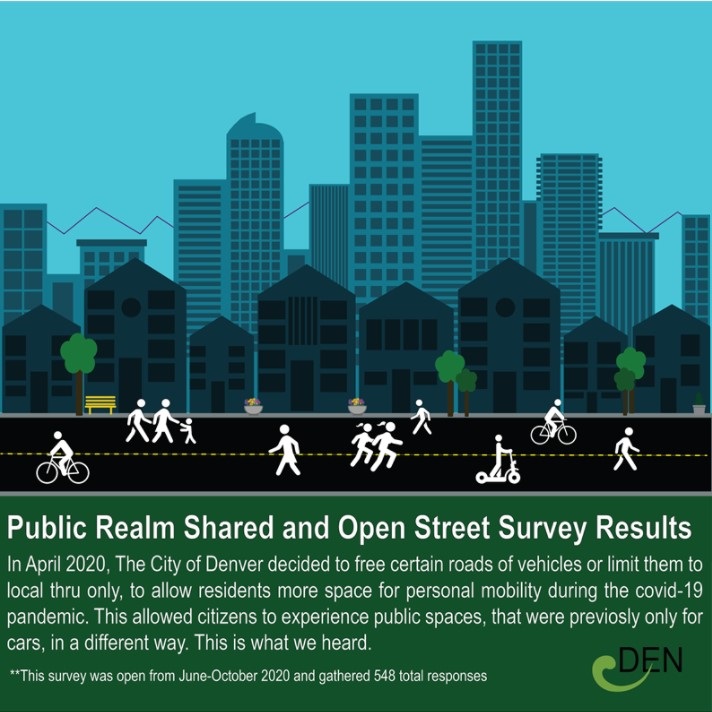 Summary of Public Realm Study Survey.